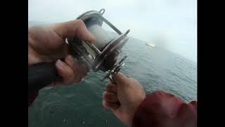 Blues and Black Sea Bass Charter