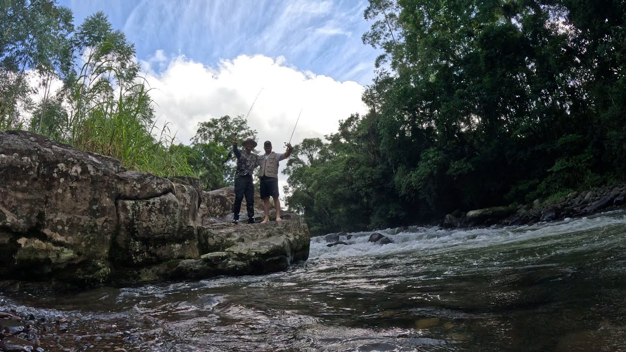 22 de fevereiro de 2026