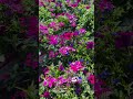 #happycolor #spring #season