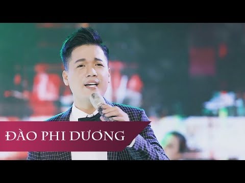 Đắp Mộ Cuộc Tình (Chachacha) | Đào Phi Dương