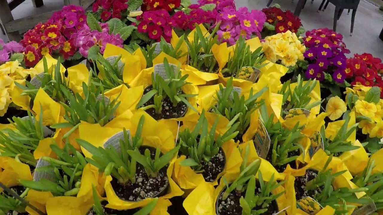 Fraser Focus - Staycations