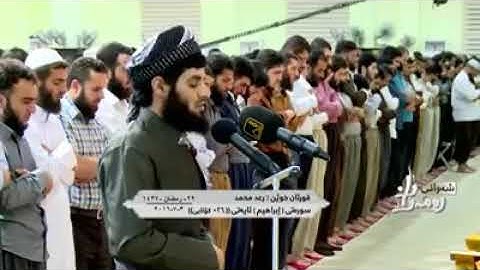 قراءة خاشعة للقارئ رعد الكردي (سورة ابراهيم)