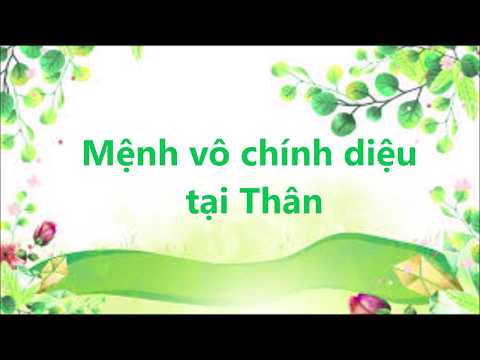 Video Mệnh vô chính diệu tại Thân - youtube