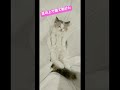 この状態で動ける奴いる?
