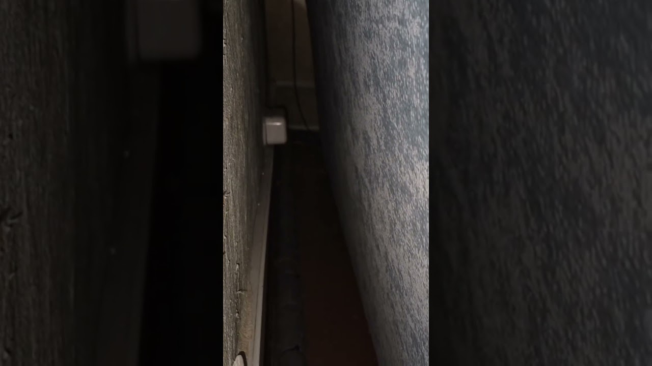 Не надо мне помогать, я сам 😎 Вот уже любитель шариков 😁