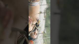 I N V I S I B E L A L I E N