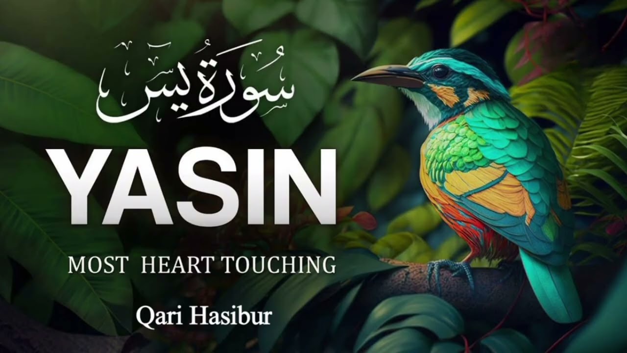 Surah Yaseen qari hasibur best Quran telawat 