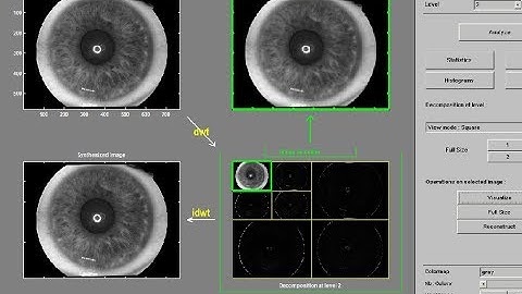 Hybrid robust iris recognition, two-dimensional gabor features, multi-layer, neural network, PSO
