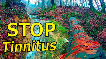 Tinnitus Relief Sound Therapy | Smoothing Music for Relax & Meditation