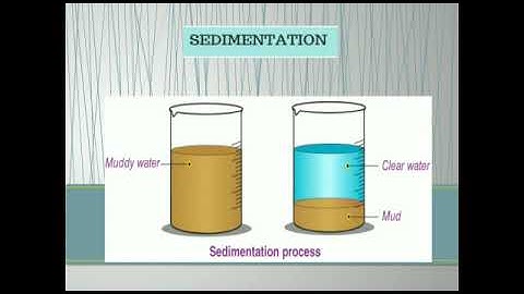 Metropolitan School Nov Class 6 Science Lesson