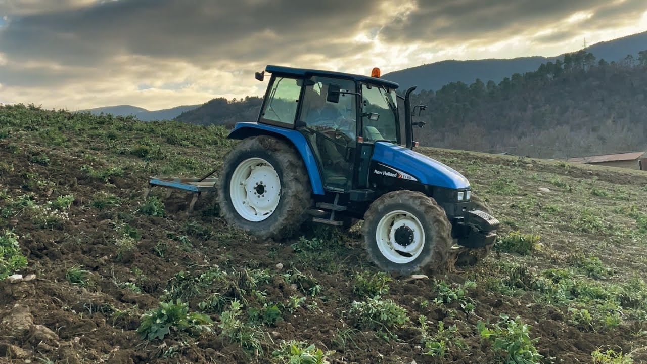 Estirpatura con new Holland TL80