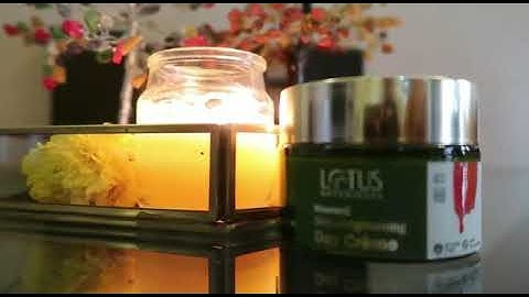 Winter Essential to Include in Your AM Skincare Routine - Lotus Botanicals Vitamin C Day Crème