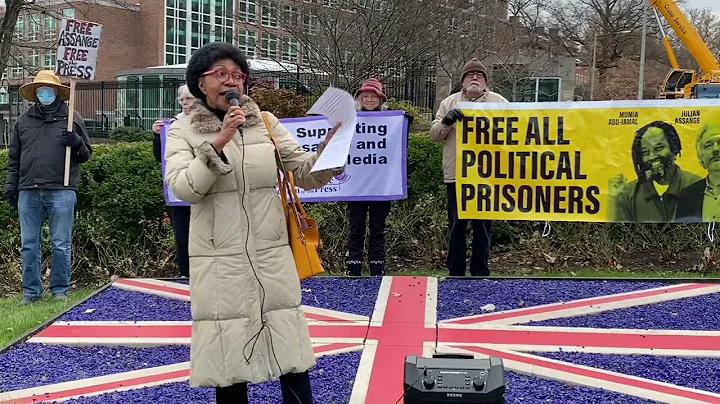 Dr  Marsha Coleman-Adebavo at DC rally for Assange