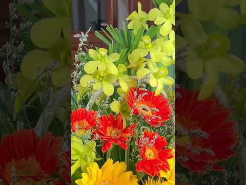 Video Cách cắm hoa đơn giản ❤️ - youtube