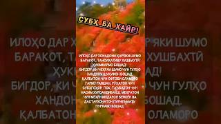 Субх ба хайр