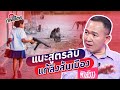 ยุทธพลแนะใช้เพชรบุรีนำร่องแก้ลิงล้นเมืองที่ลพบุรี #รสทิพย์ไตย