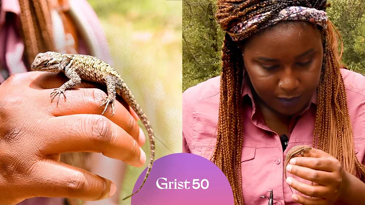 This scientist brings lizards to Instagram