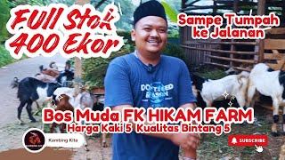 Full Stok 400 Ekor Sampe Tumpah Ke Jalan  Bos Muda FK Hikam Farm Harga kaki 5 Kualitas Bintang 5