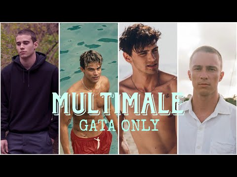 Multimale | Gata Only