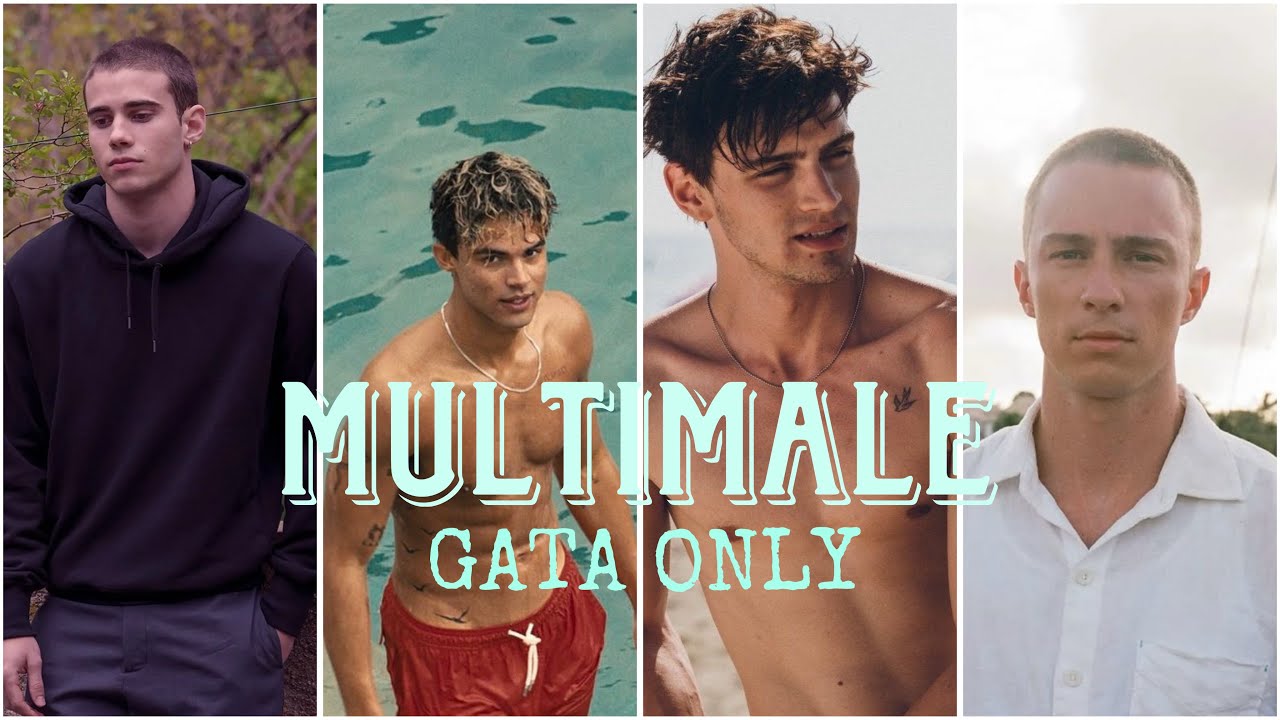 Multimale | Gata Only