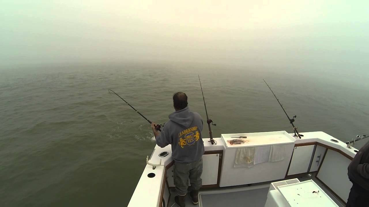 Fun Striper Fishing in San Francisco Bay YouTube