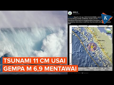 BMKG Sebut Tsunami 11 Cm Terjadi Setelah Gempa M 6,9 Guncang Mentawai