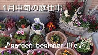 1月中旬の庭仕事 Youtube