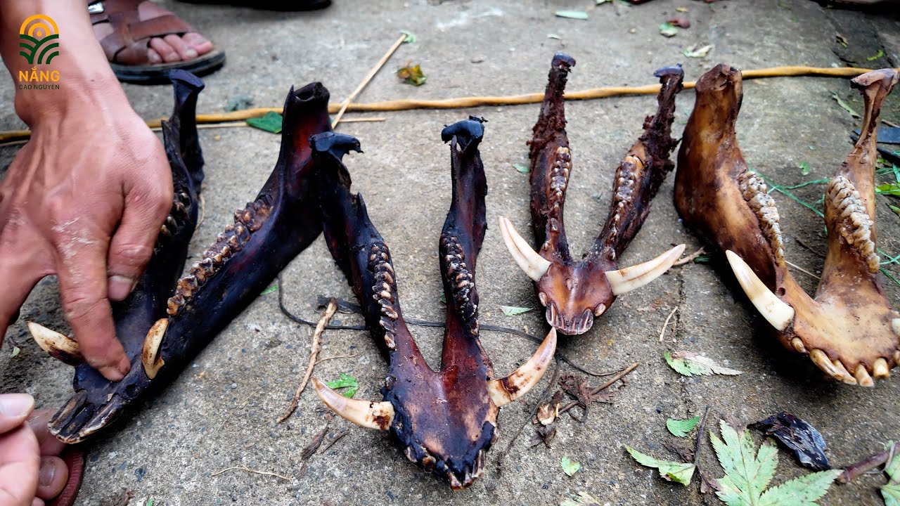 Khám Phá Chợ Phiên San Thành Lai Châu Thưởng Thức Toàn Món Ngon Của Lạ Người Giáy