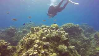 Grand Cayman Eden Rock Shore Diving Devil's Grotto and Eden Rock