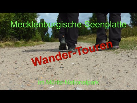 #2/3: Wandern u. Tierbeobachtungen i. d. Mecklenburg. Seenplatte