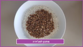מג'דרה | מטר פרץ #shorts