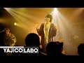 YAJICO GIRL - FIVE at YAJICOLABO 2023[Official Live Video]