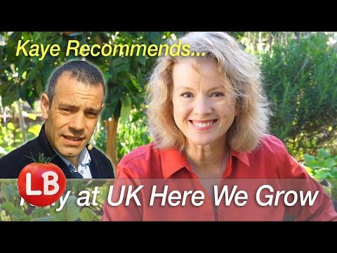 Kaye Recommends UK