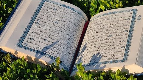 ما تيسر من سوره آل عمران القارئ عمر بن ضياء الدين 🤍#قرآن #قران_كريم #قرآن_كريم 
