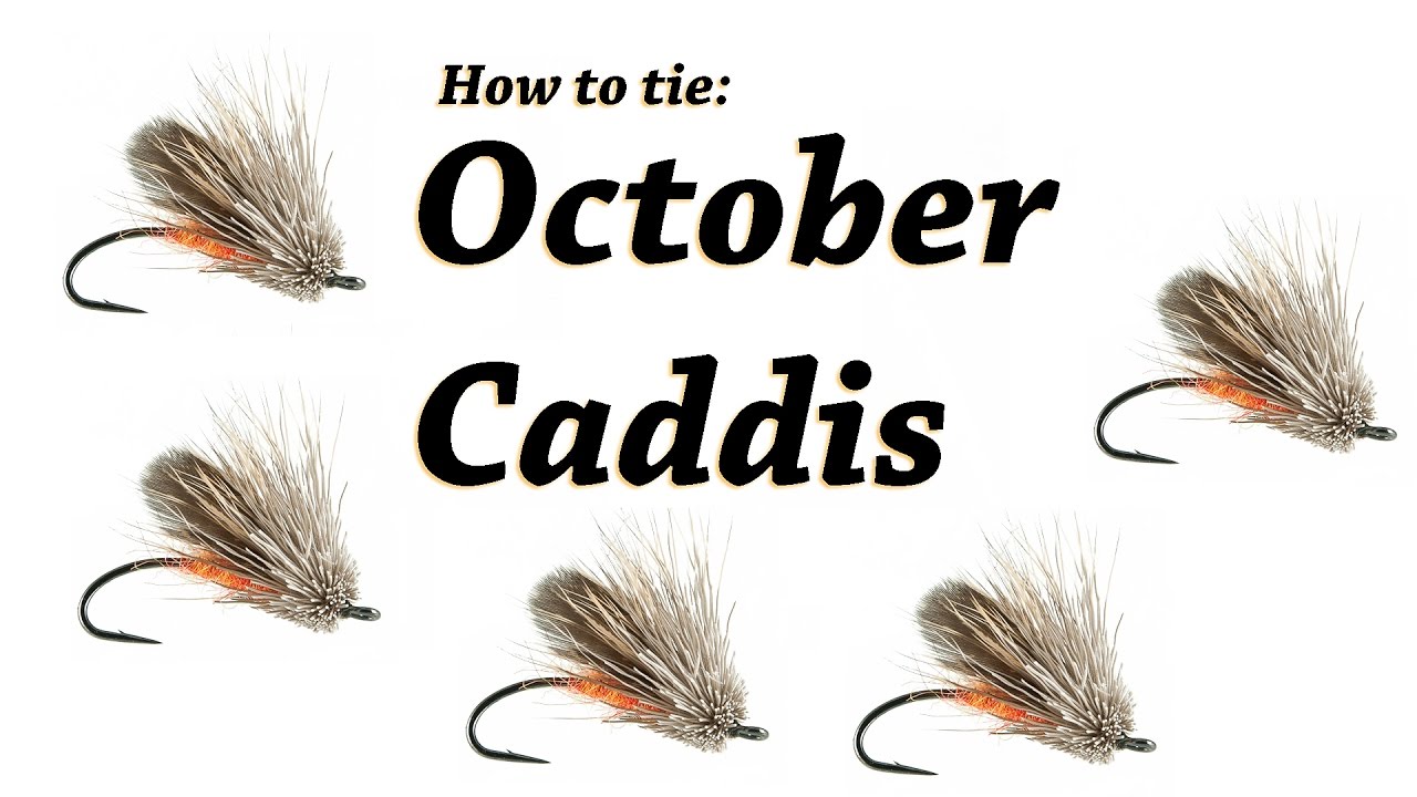 Fly Tying | Steelhead October Caddis - YouTube