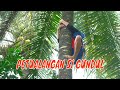 [FULL] PETUALANGAN SI GUNDUL | JEJAK SI GUNDUL (09/03/23)