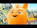 Sunny Bunnies - BURBUJAS | Dibujos animados para niños | WildBrain en Español