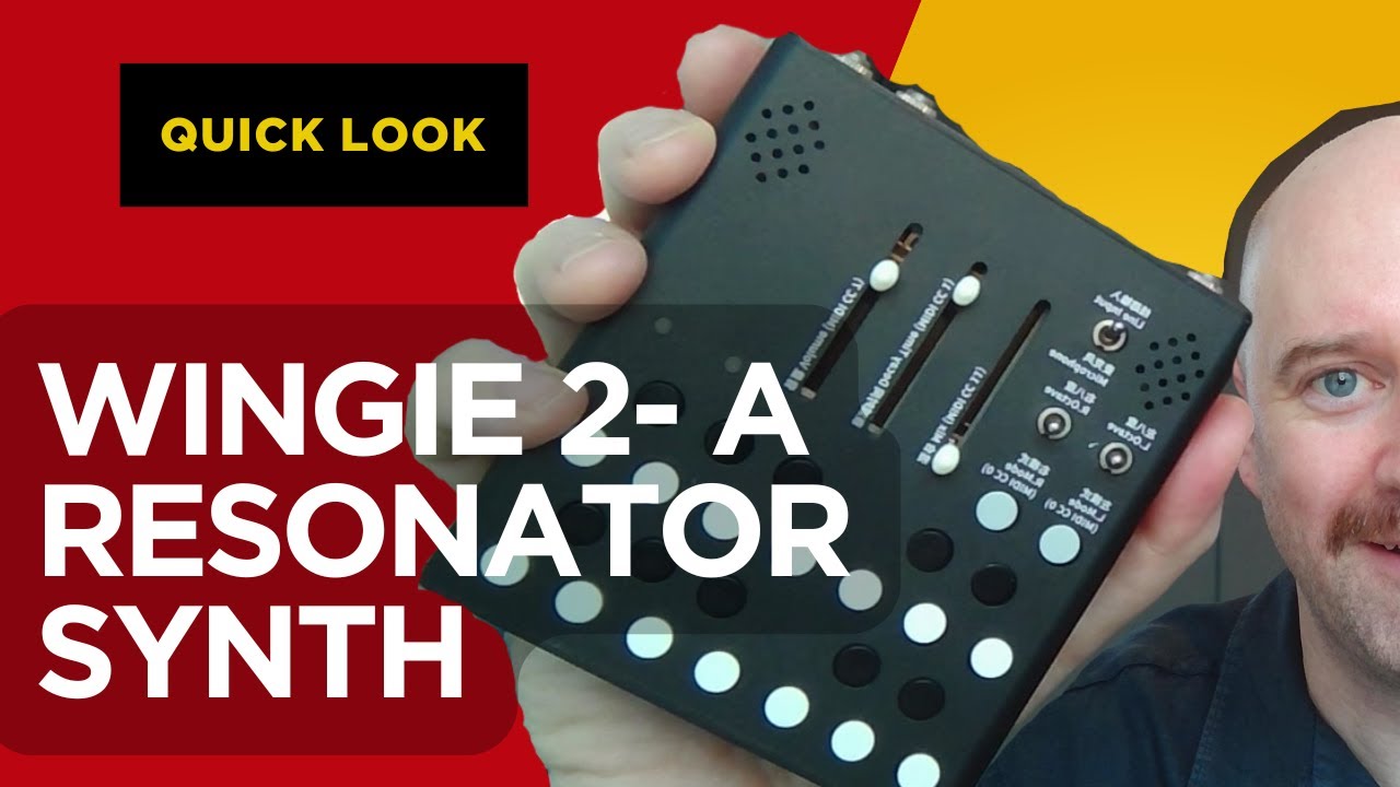 Wingie 2: What the hell is a resonator synth?! - YouTube
