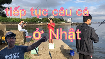 gia đình việt ở Nhật  | |cuối cùng mấy anh em ra sông câu cá bống cát về kho tiêu ăn cơm