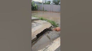 Remove Debris Clogged Drain #unclog #remove #culvert #shorts