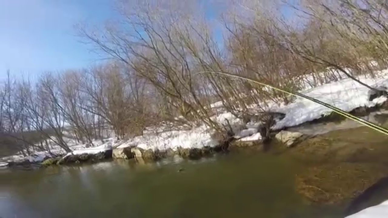 Fly Fishing Beaver Creek MD (1/30/16) YouTube