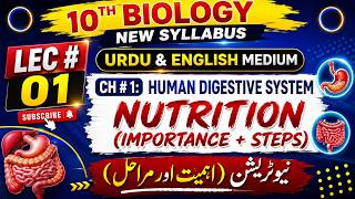 Nutrition Importance and Main Steps | Class 10 Biology Chapter 1 | Human Digestive System | PCTB