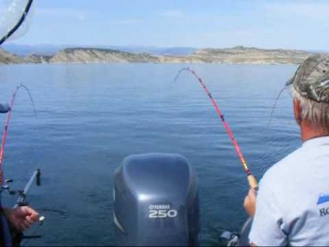Flaming Gorge Kokanee Fishing 09