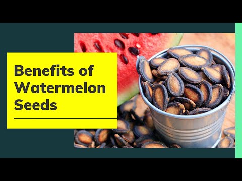 Benefits of Watermelon Seeds