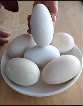 डबल जर्दी वाला बड़ा अंडा parabolic eggs, double yolk egg, big egg