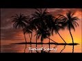 New: Tropical Scenery - 10 minutes of animated tropical nature 1080pHD