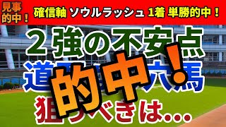 マイラーズカップ2024 競馬YouTuber達が選んだ【確信軸】２強の不安点！？道悪なら穴馬！
