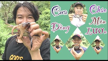 Cháo Môn Lươn Ẩm Thực Miền Núi Thơm Ngon Đậm Đà Ăn Là Ghiền Có 102   | EEL PORRIDGE