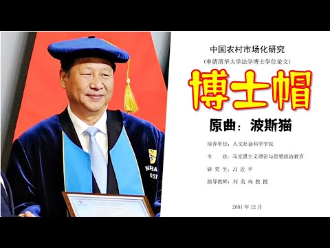 【辱包】博士帽（原曲：SHE-波斯猫）