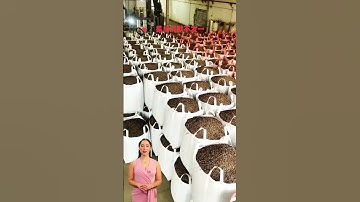 #fcnfm How to Optimize Your Biomass Feedstock for FCN.FM Machines